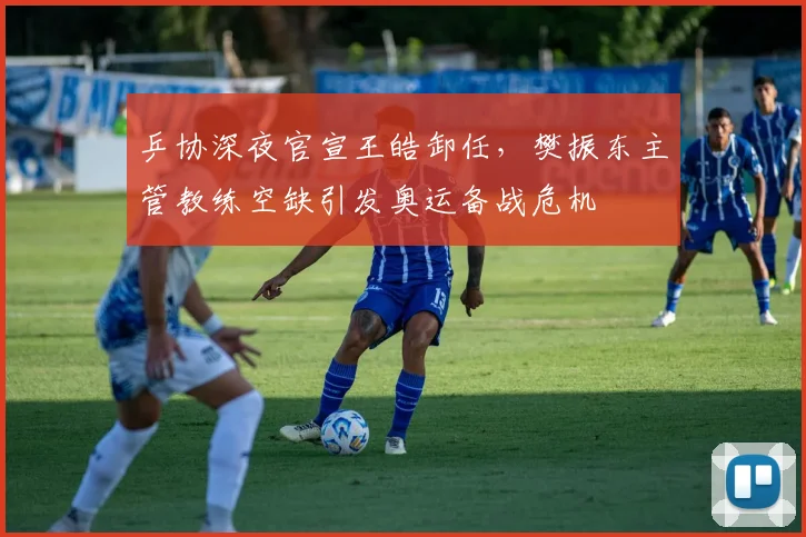 乒协深夜官宣王皓卸任,樊振东主管教练空缺引发奥运备战危机